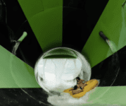 Splish Splash Water Park Summer BOGO deal: Buy One Get One 50% off admission tickets
