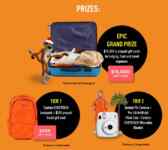 Cheetos Cheese Up Your Holiday Sweepstakes: Win a $15,000 trip and more at cheeseupyourholiday.com