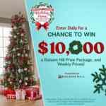 Hallmark Channel Holiday Home Decoration Sweepstakes: Win $10,000 & a Balsam Hill Prize Package and more