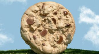 Crumbl National Chocolate Chip Cookie Day 2023: Get FREE cookies at selected locations