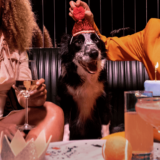 Shameless Pets and Virgin Hotels Giveaway: Win 1 of 4 Ulti-Mutt Getaways in 2023 to Virgin Hotels Nashville