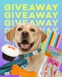 National Pet Day Giveaway: Win a Pupbox Bundle from Sprinkles Cupcakes